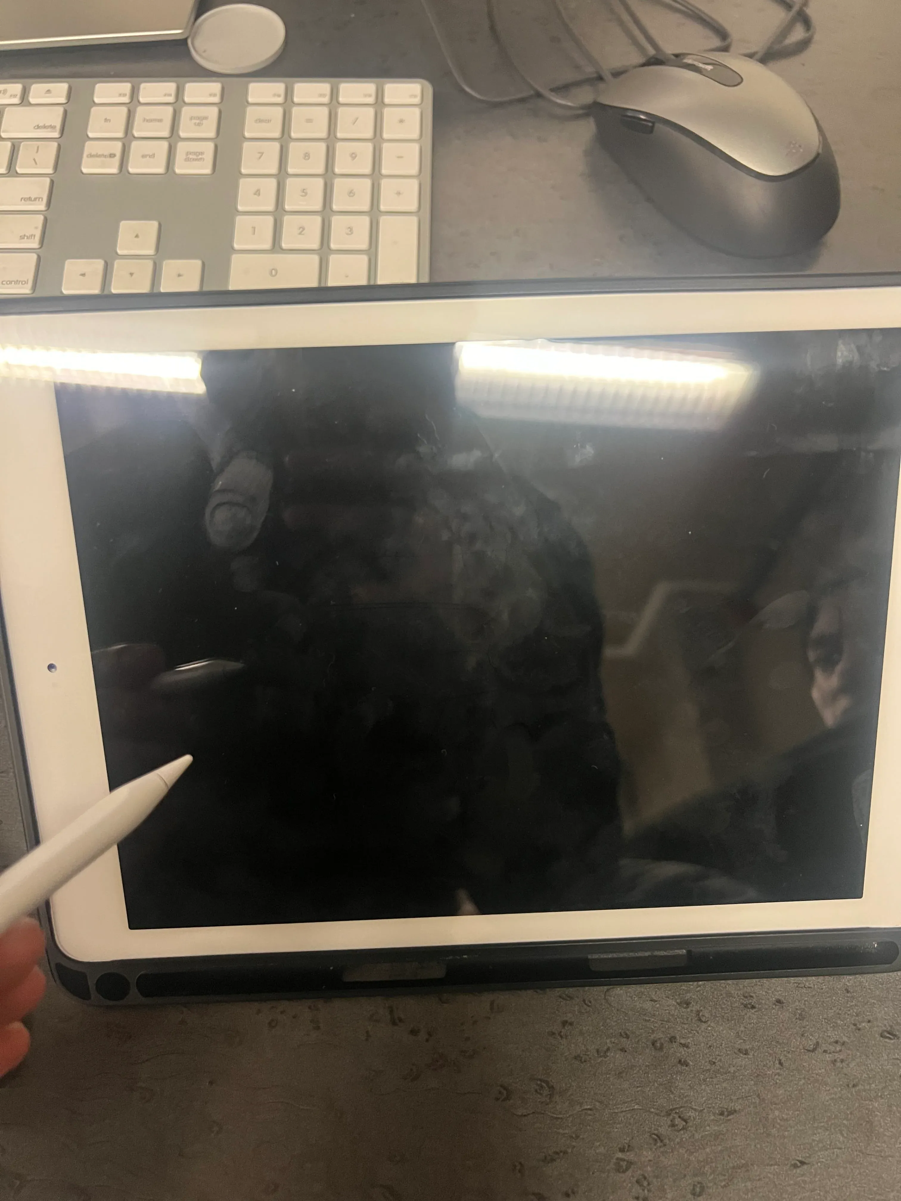 Interactive object 14: Ipad